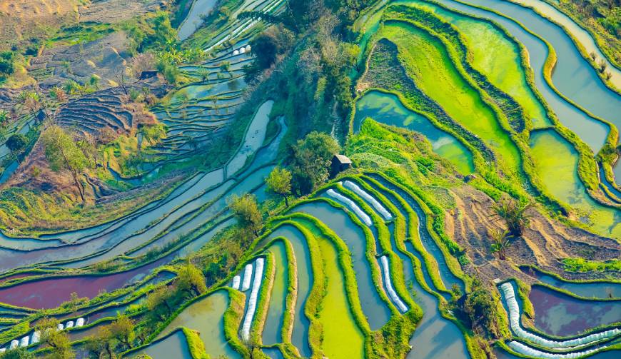 走进若羌县TVC拍摄：解锁本地化场景与创意镜头的完美融合